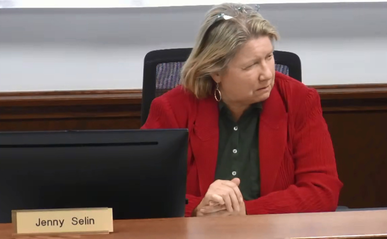 Councilwoman Jenny Selin staring down another councilwoman